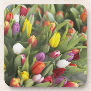 Bunches of colourful tulips coaster
