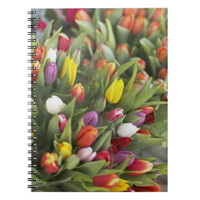 Bunches of colourful tulips notebook (Front)