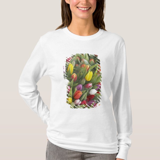 Bunches of colourful tulips T-Shirt (Front)