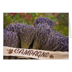 Bunches of lavender for sale, Vence, Provence,