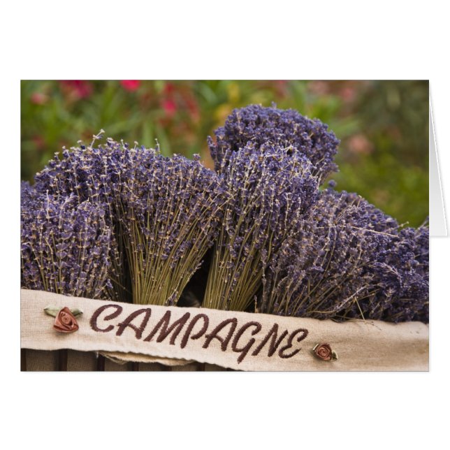 Bunches of lavender for sale, Vence, Provence, (Front Horizontal)
