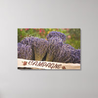 Bunches of lavender for sale, Vence, Provence,