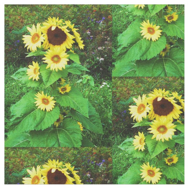 BUNDLE OF SUNFLOWERS FABRIC (Close Up)