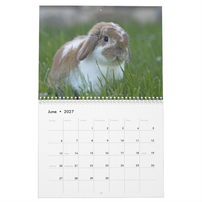 Bunnies 2016 - 12 Months of Cute Bunny Rabbits Calendar (Jun 2027)