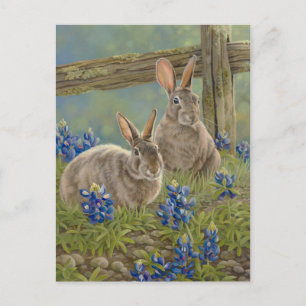 Bunnies & Bluebonnets Postcard