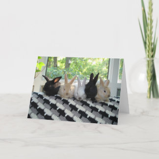 Bunnies Card