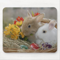 Bunnies In Basket