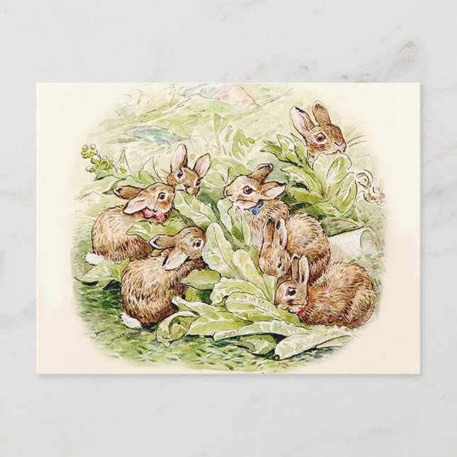 Bunnies in the Lettuce Patch by Beatrix Potter Postcard (Front)