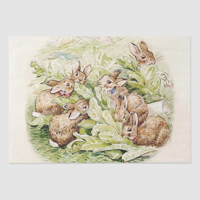 Bunnies in the Lettuce Patch by Beatrix Potter Tissue Paper (Front)