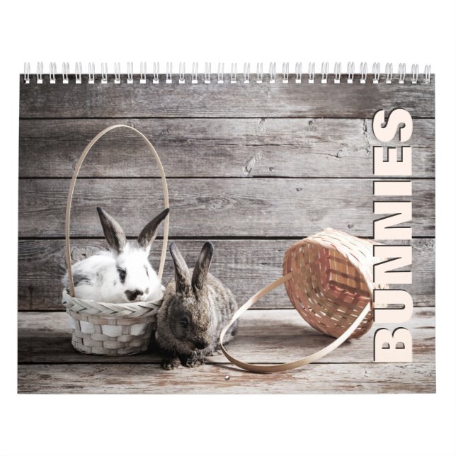 Bunnies Wall Calendar (Cover)