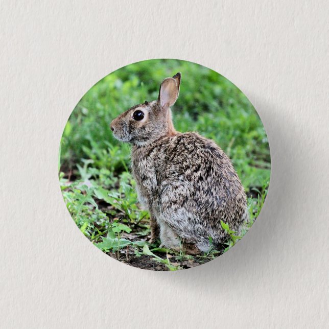 Bunny  3 cm round badge (Front)