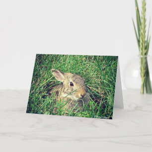 Bunny All Occasions  Card