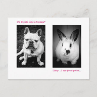 Bunny and French bulldog Postcard