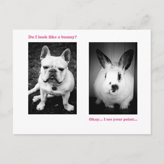 Bunny and French bulldog Postcard (Front)