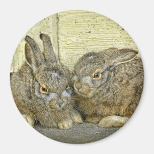 Bunny Babies (Wild) Magnet