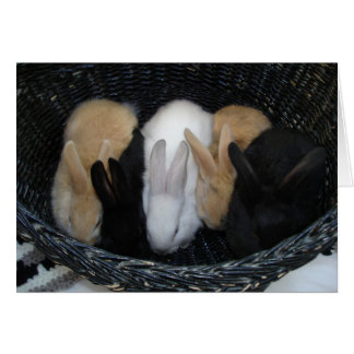 Bunny Basket