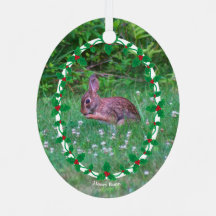 Bunny & Cardinal or Your Photo with Holly Border