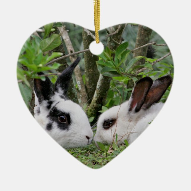 Bunny Couple Ceramic Tree Decoration (Front)