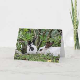 Bunny Couple Holiday Card