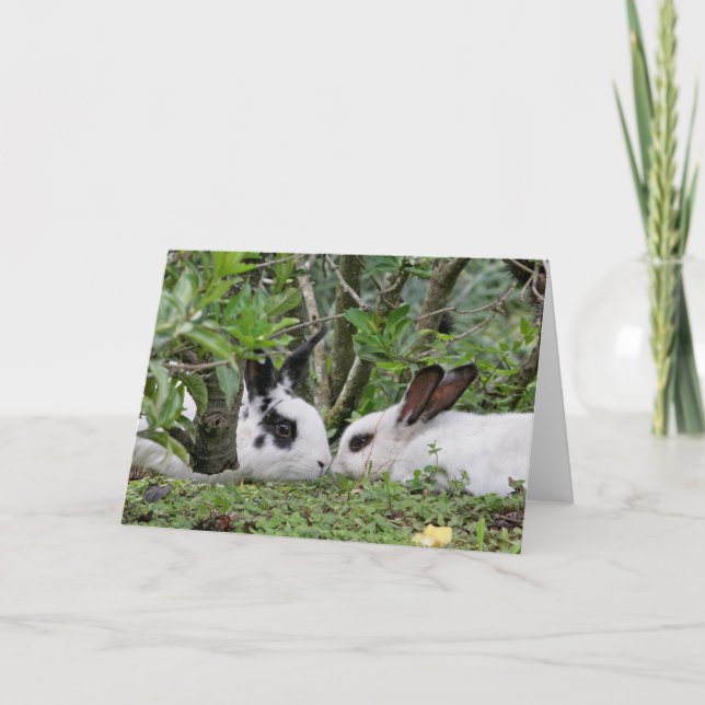 Bunny Couple Holiday Card (Front)