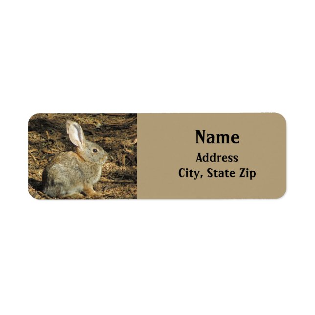 Bunny Cute Little Rabbit Brown Desert Animal (Front)