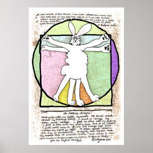 Bunny DaVinci Poster and Print
