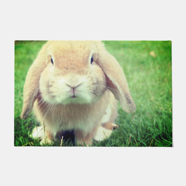 Bunny Doormat (Front)