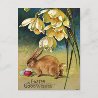 Bunny, Eggs, and Snowdrops, vintage 1910 Postcard