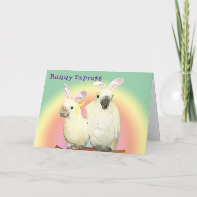 Bunny Express Holiday Card (Front)