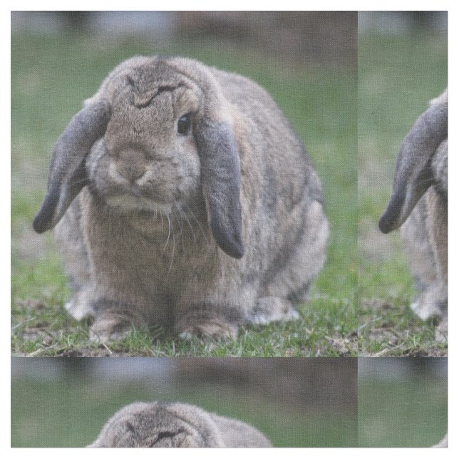bunny fabric (Close Up)