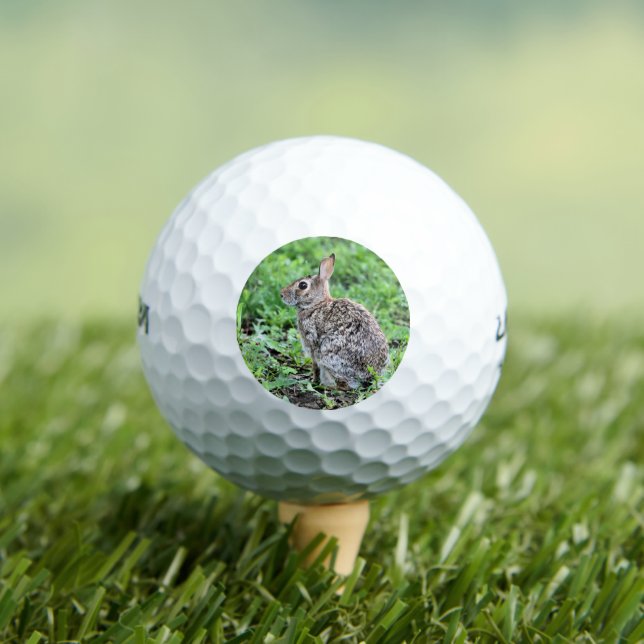 Bunny Golf Balls (Insitu Tee)