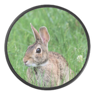 Bunny hockey puck