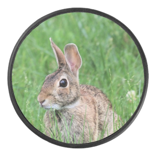 Bunny   hockey puck (Front)