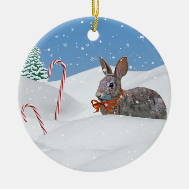 Bunny in the Snow Christmas Ornament (Front)