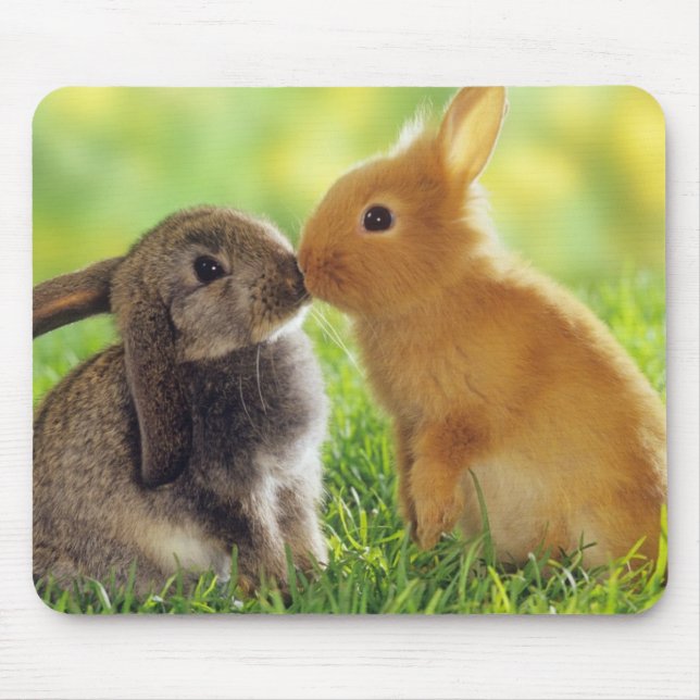 Bunny Kiss Mouse Pad (Front)