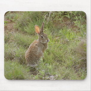 Bunny Looks Over Shoulder Mouse Pad