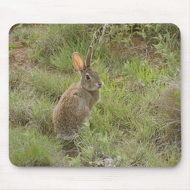 Bunny Looks Over Shoulder Mouse Pad (Front)