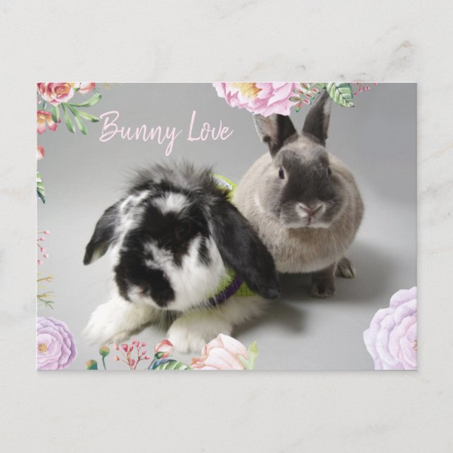 Bunny Love Postcard (Front)