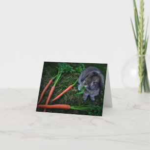 Bunny Munches Carrots / Notecard