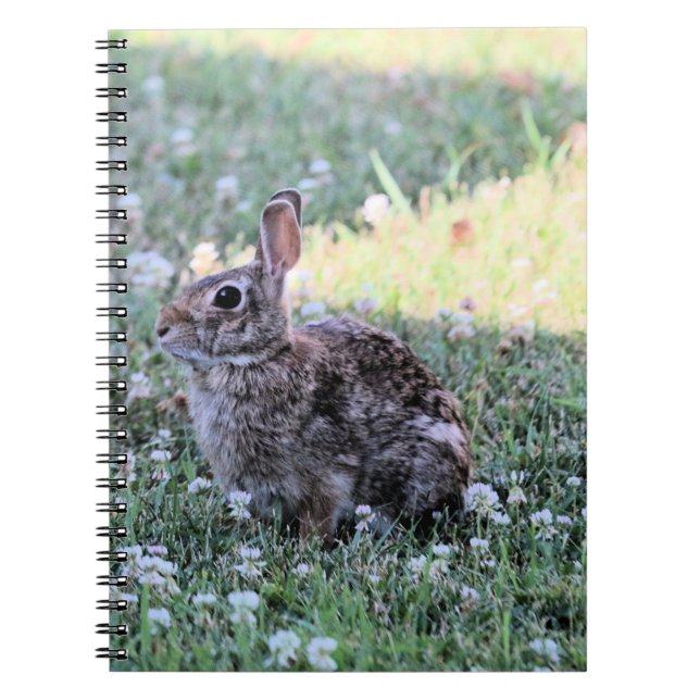 Bunny  notebook (Front)