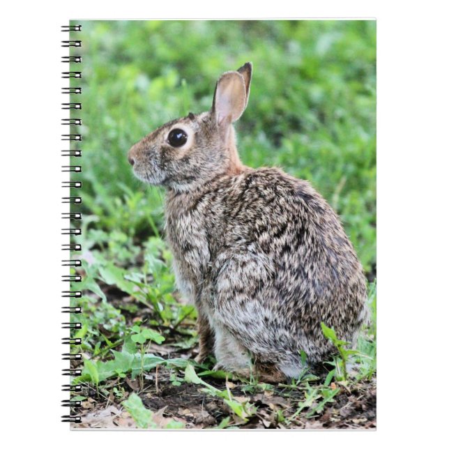 Bunny    notebook (Front)