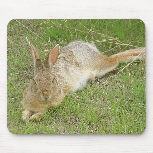 Bunny On Break Mouse Pad (Front)