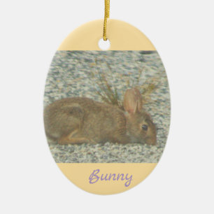 Bunny Photo Ornament 