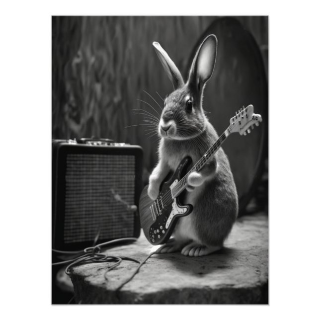 Bunny Playing a Guitar Photo Print (Front)