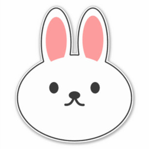 Bunny Rabbit