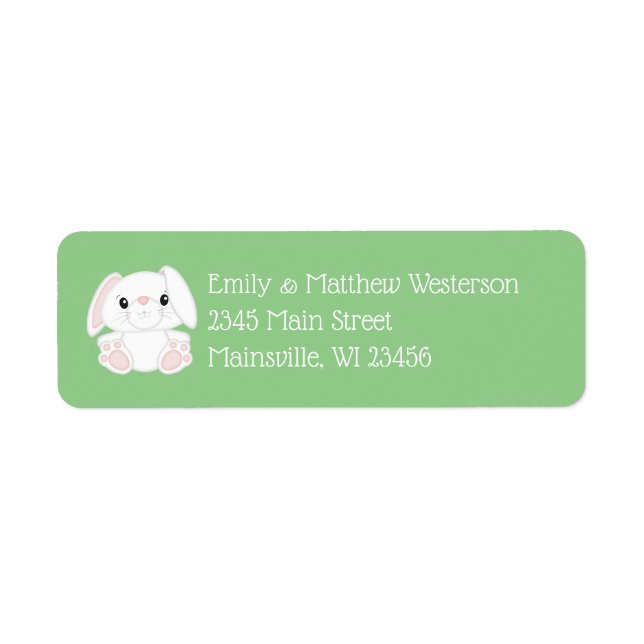 Bunny Rabbit Baby Shower (Front)