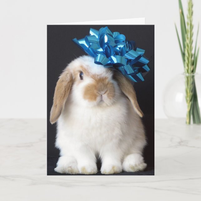 Bunny Rabbit Birthday Greeting Card (Front)