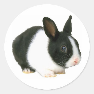 Bunny Rabbit Black & White Classic Round Sticker