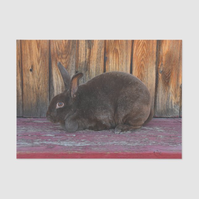 Bunny Rabbit Brown Wood Grain Easter Tissue Paper (Front)