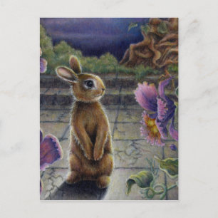 Bunny Rabbit & Flowers Night Dreaming Postcard